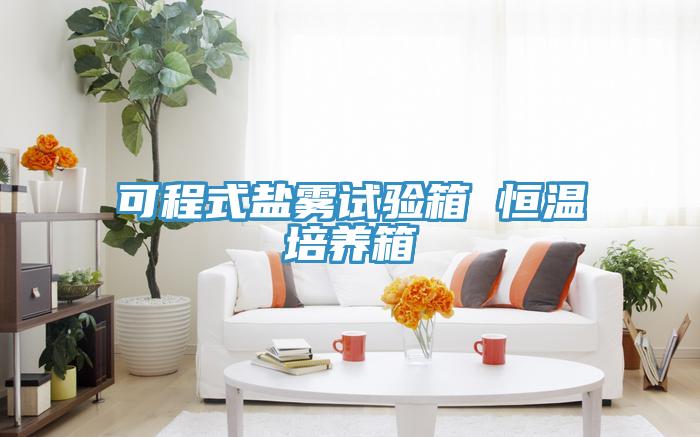 可程式鹽霧試驗(yàn)箱 恒溫培養(yǎng)箱
