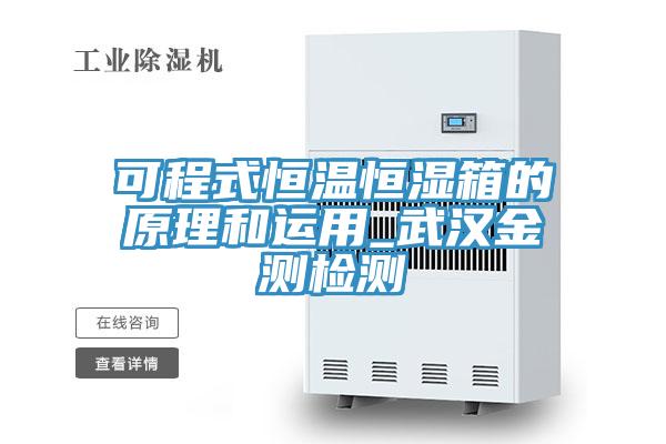可程式恒溫恒濕箱的原理和運(yùn)用_武漢金測檢測