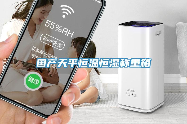 國產(chǎn)天平恒溫恒濕稱重箱