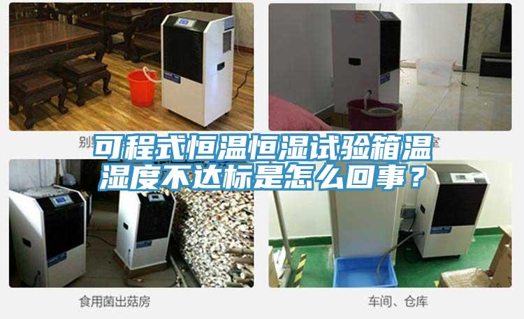 可程式恒溫恒濕試驗(yàn)箱溫濕度不達(dá)標(biāo)是怎么回事？