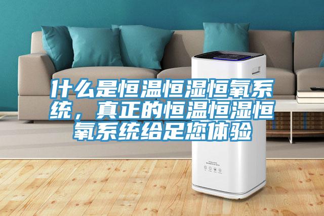 什么是恒溫恒濕恒氧系統(tǒng)，真正的恒溫恒濕恒氧系統(tǒng)給足您體驗