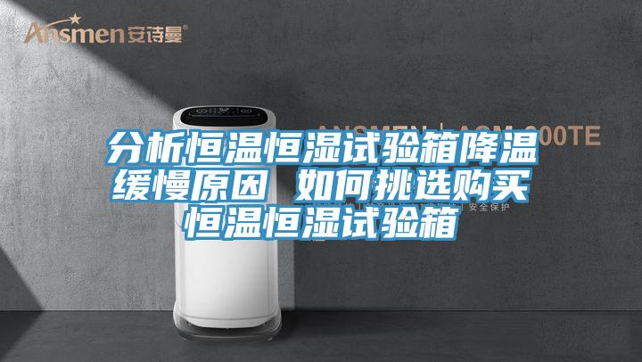 分析恒溫恒濕試驗(yàn)箱降溫緩慢原因 如何挑選購(gòu)買(mǎi)恒溫恒濕試驗(yàn)箱