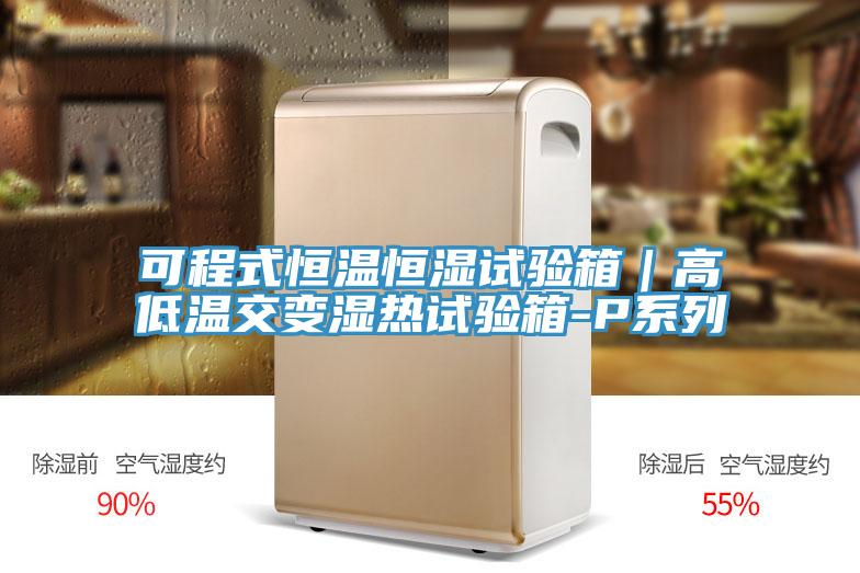 可程式恒溫恒濕試驗(yàn)箱｜高低溫交變濕熱試驗(yàn)箱-P系列