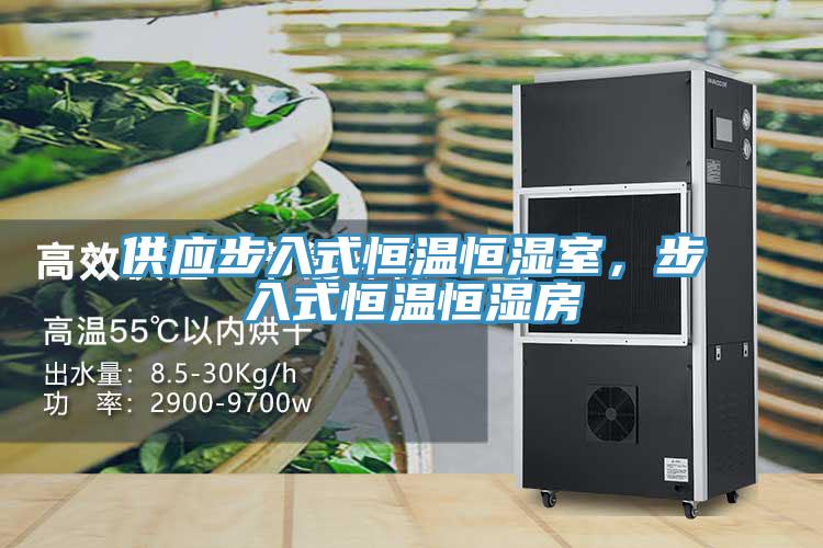 供應(yīng)步入式恒溫恒濕室，步入式恒溫恒濕房