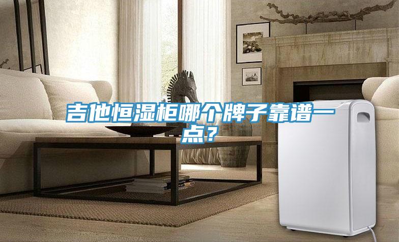 吉他恒濕柜哪個(gè)牌子靠譜一點(diǎn)？