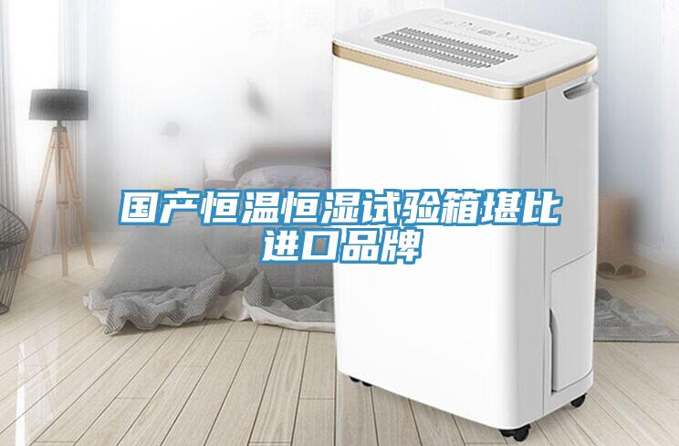 國產(chǎn)恒溫恒濕試驗(yàn)箱堪比進(jìn)口品牌