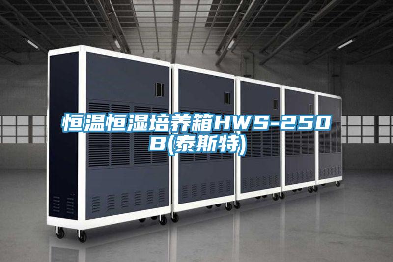 恒溫恒濕培養(yǎng)箱HWS-250B(泰斯特)