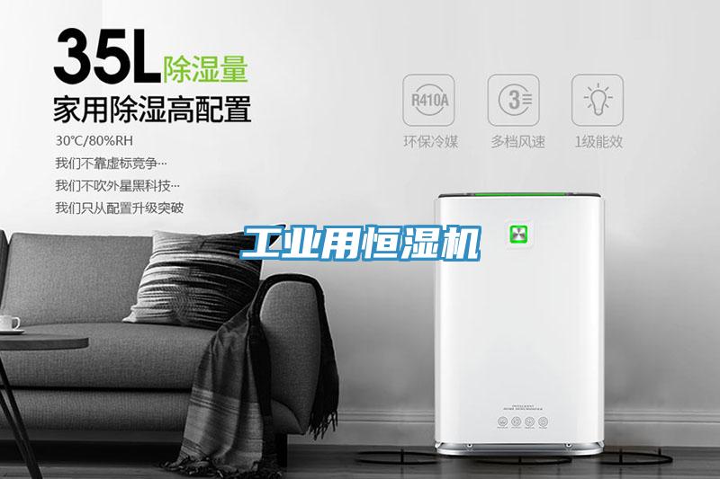 工業(yè)用恒濕機(jī)