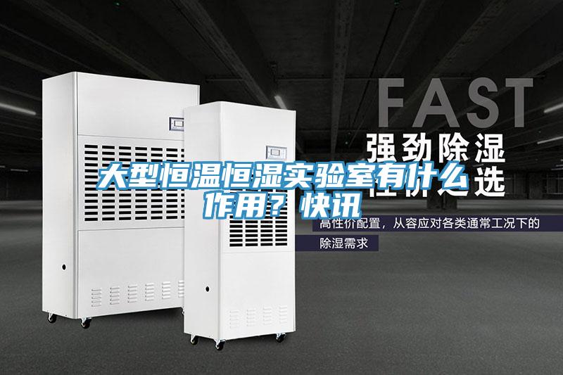 大型恒溫恒濕實驗室有什么作用？快訊