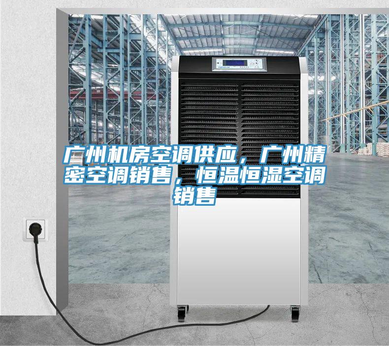 廣州機房空調(diào)供應(yīng)，廣州精密空調(diào)銷售，恒溫恒濕空調(diào)銷售
