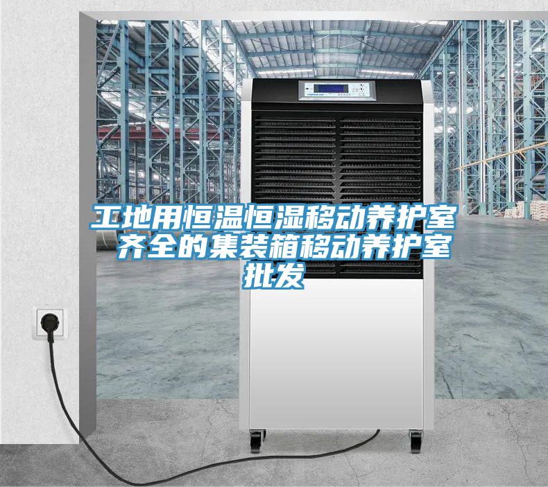 工地用恒溫恒濕移動養(yǎng)護室 齊全的集裝箱移動養(yǎng)護室批發(fā)
