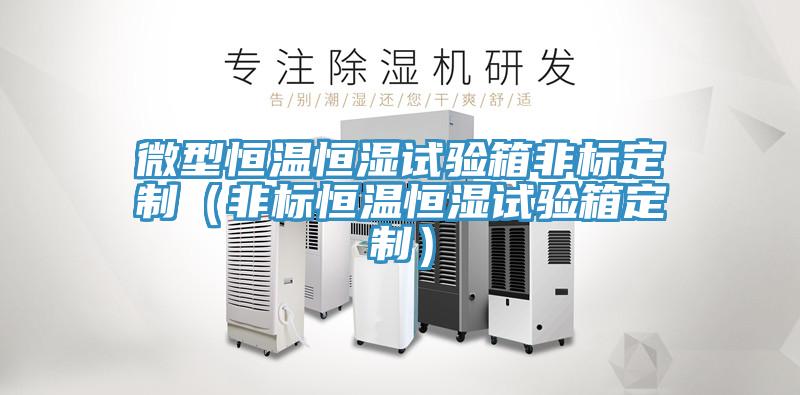 微型恒溫恒濕試驗(yàn)箱非標(biāo)定制（非標(biāo)恒溫恒濕試驗(yàn)箱定制）