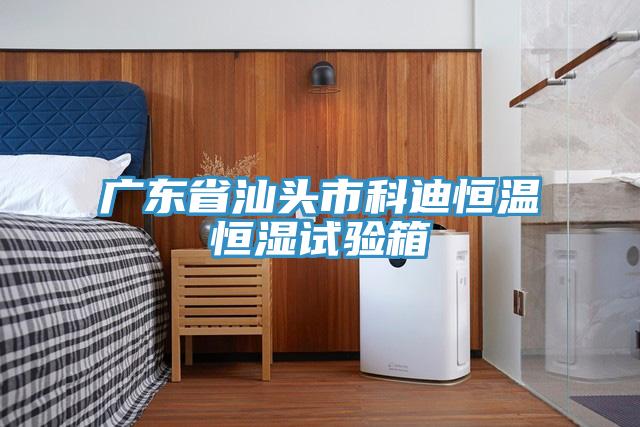 廣東省汕頭市科迪恒溫恒濕試驗(yàn)箱
