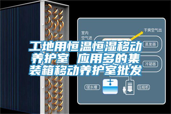 工地用恒溫恒濕移動(dòng)養(yǎng)護(hù)室 應(yīng)用多的集裝箱移動(dòng)養(yǎng)護(hù)室批發(fā)