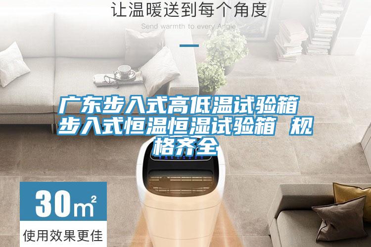 廣東步入式高低溫試驗(yàn)箱 步入式恒溫恒濕試驗(yàn)箱 規(guī)格齊全