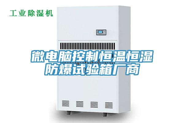 微電腦控制恒溫恒濕防爆試驗(yàn)箱廠商