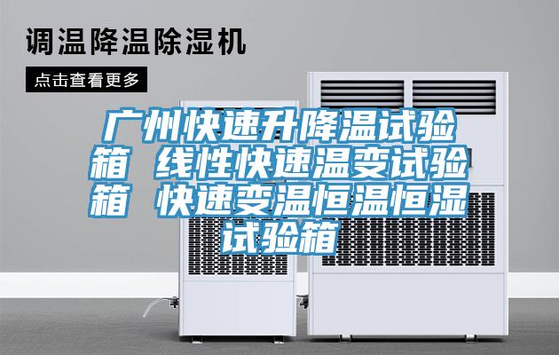 廣州快速升降溫試驗(yàn)箱 線性快速溫變?cè)囼?yàn)箱 快速變溫恒溫恒濕試驗(yàn)箱