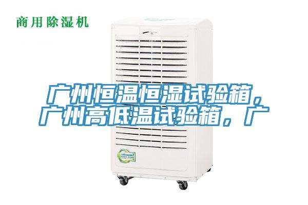 廣州恒溫恒濕試驗(yàn)箱，廣州高低溫試驗(yàn)箱，廣