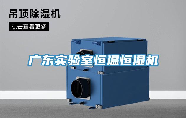 廣東實(shí)驗(yàn)室恒溫恒濕機(jī)