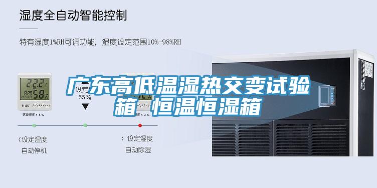 廣東高低溫濕熱交變?cè)囼?yàn)箱 恒溫恒濕箱