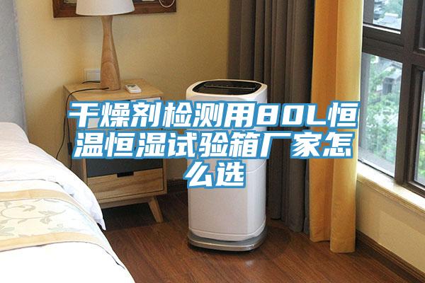 干燥劑檢測(cè)用80L恒溫恒濕試驗(yàn)箱廠家怎么選