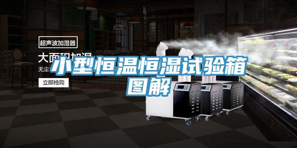 小型恒溫恒濕試驗(yàn)箱圖解