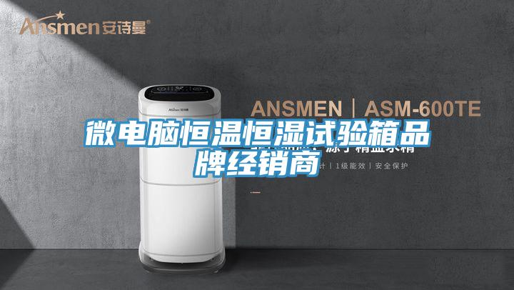 微電腦恒溫恒濕試驗(yàn)箱品牌經(jīng)銷商