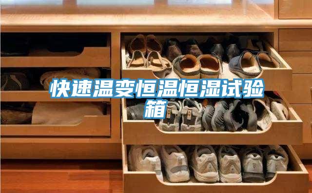 快速溫變恒溫恒濕試驗(yàn)箱