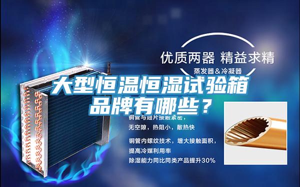 大型恒溫恒濕試驗(yàn)箱品牌有哪些？