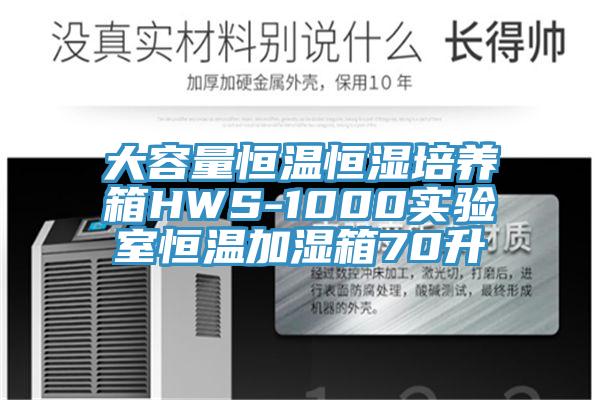 大容量恒溫恒濕培養(yǎng)箱HWS-1000實(shí)驗(yàn)室恒溫加濕箱70升