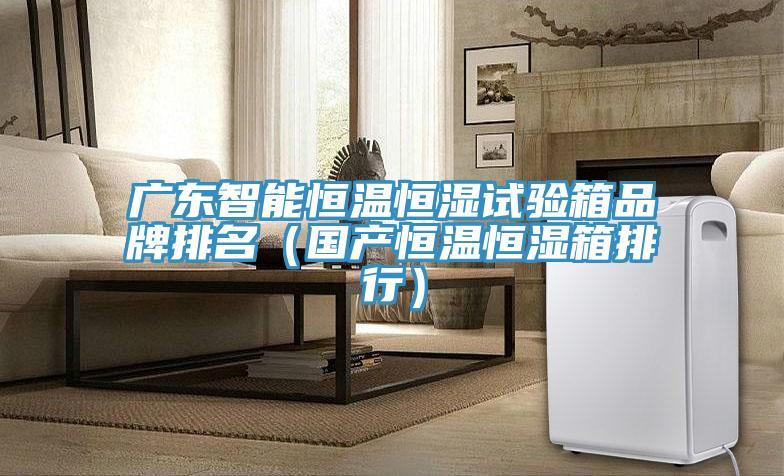 廣東智能恒溫恒濕試驗(yàn)箱品牌排名（國產(chǎn)恒溫恒濕箱排行）