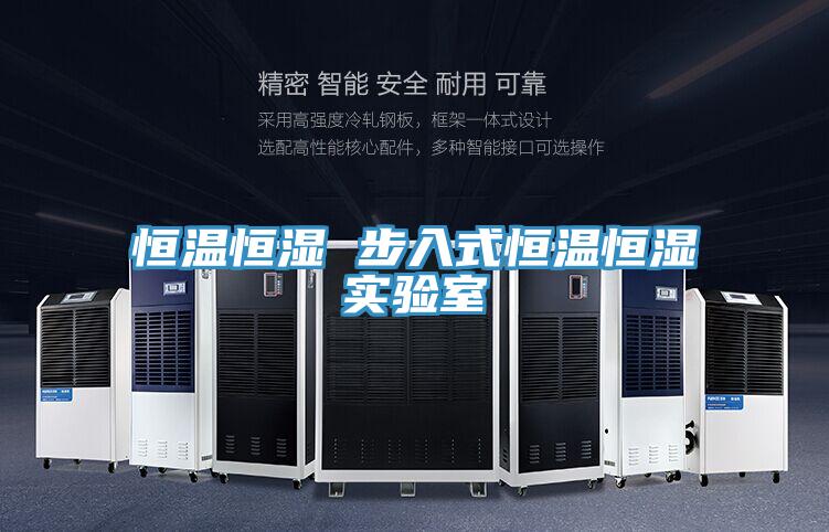 恒溫恒濕 步入式恒溫恒濕實(shí)驗(yàn)室