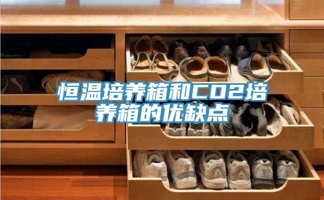 恒溫培養(yǎng)箱和CO2培養(yǎng)箱的優(yōu)缺點(diǎn)