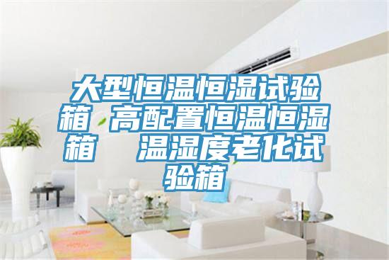 大型恒溫恒濕試驗(yàn)箱 高配置恒溫恒濕箱  溫濕度老化試驗(yàn)箱