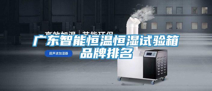 廣東智能恒溫恒濕試驗(yàn)箱品牌排名