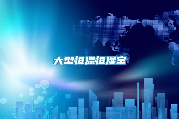 大型恒溫恒濕室
