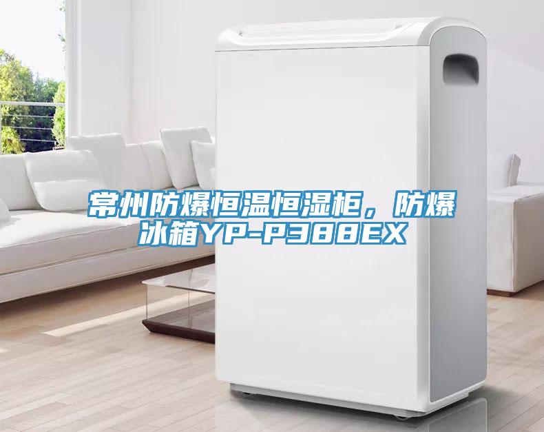 常州防爆恒溫恒濕柜，防爆冰箱YP-P388EX