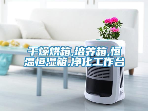 干燥烘箱,培養(yǎng)箱,恒溫恒濕箱,凈化工作臺(tái)