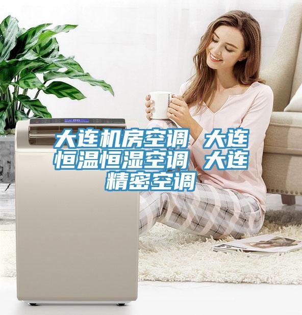 大連機(jī)房空調(diào) 大連恒溫恒濕空調(diào) 大連精密空調(diào)