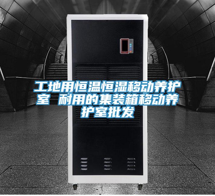 工地用恒溫恒濕移動養(yǎng)護室 耐用的集裝箱移動養(yǎng)護室批發(fā)