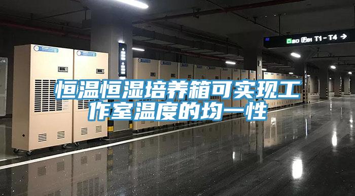 恒溫恒濕培養(yǎng)箱可實(shí)現(xiàn)工作室溫度的均一性