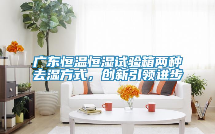 廣東恒溫恒濕試驗(yàn)箱兩種去濕方式，創(chuàng)新引領(lǐng)進(jìn)步