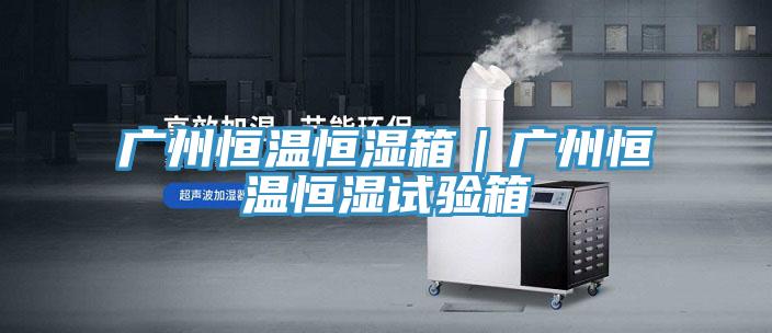 廣州恒溫恒濕箱｜廣州恒溫恒濕試驗(yàn)箱