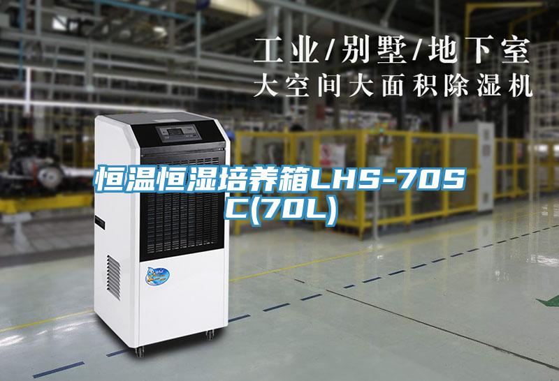 恒溫恒濕培養(yǎng)箱LHS-70SC(70L)
