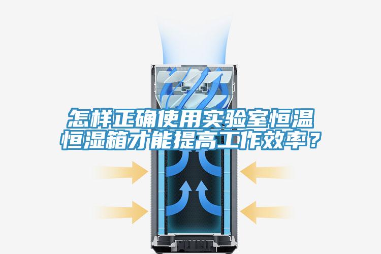 怎樣正確使用實(shí)驗(yàn)室恒溫恒濕箱才能提高工作效率？