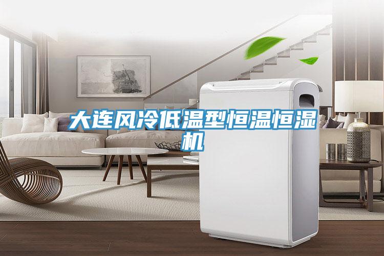 大連風(fēng)冷低溫型恒溫恒濕機(jī)