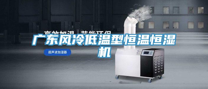 廣東風(fēng)冷低溫型恒溫恒濕機(jī)