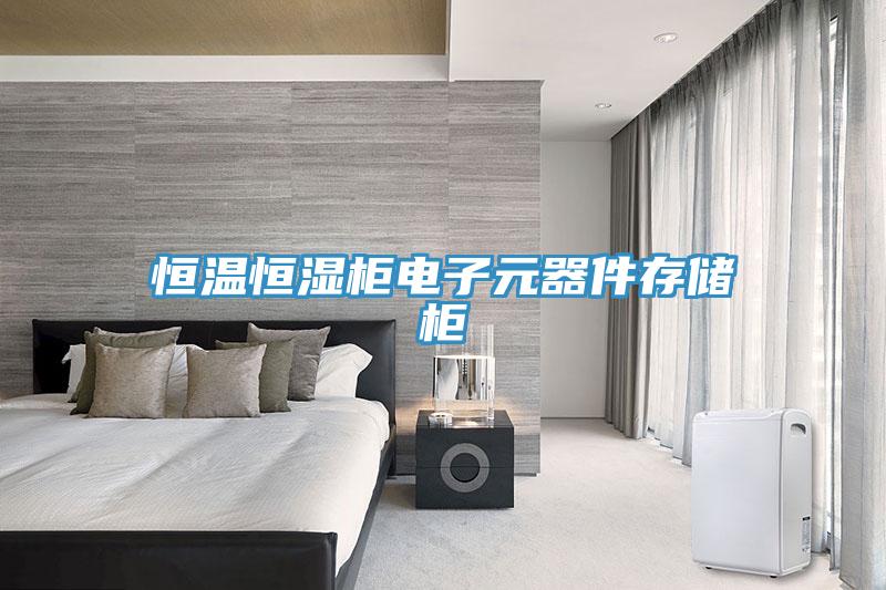 恒溫恒濕柜電子元器件存儲柜