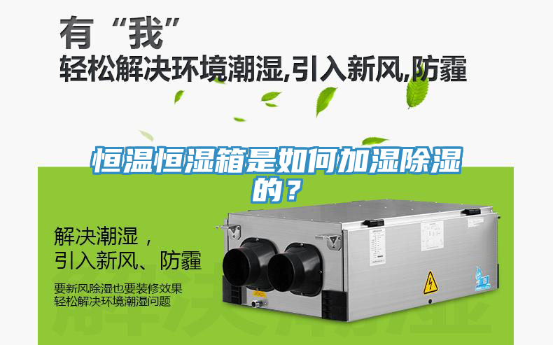 恒溫恒濕箱是如何加濕除濕的？