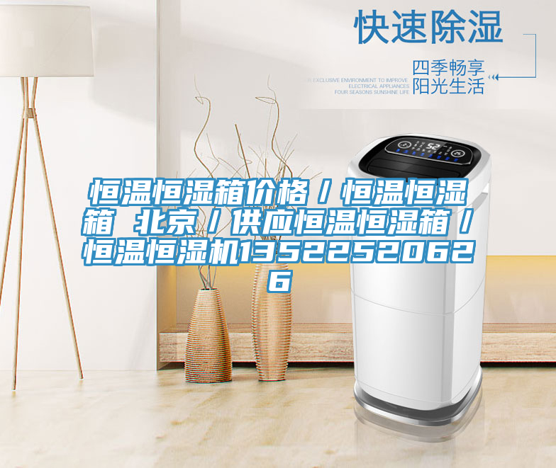恒溫恒濕箱價(jià)格／恒溫恒濕箱 北京／供應(yīng)恒溫恒濕箱／恒溫恒濕機(jī)13522520626